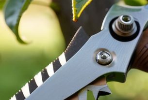 How to prune an apple tree correctly.